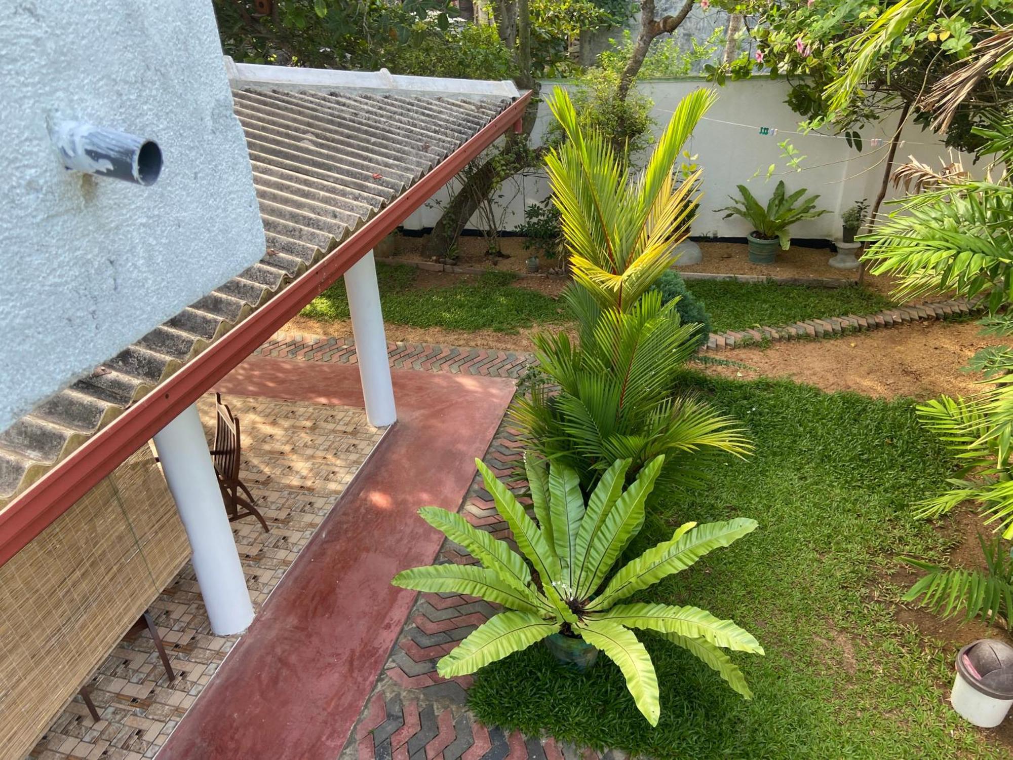Mirissa Gold Rush Villa 外观 照片
